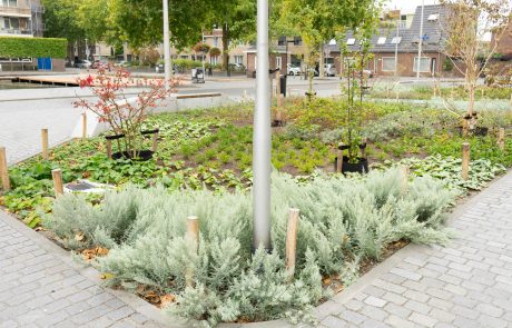 Puishaven-Ketelaars.1