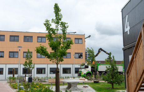 COA-Eindhoven.1