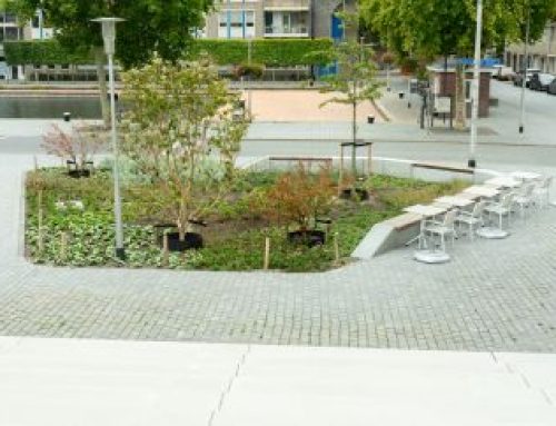 Puishaven