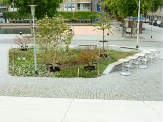 Puishaven-Ketelaars.1